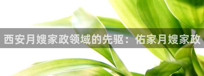 杏悦官网登录入口网址
