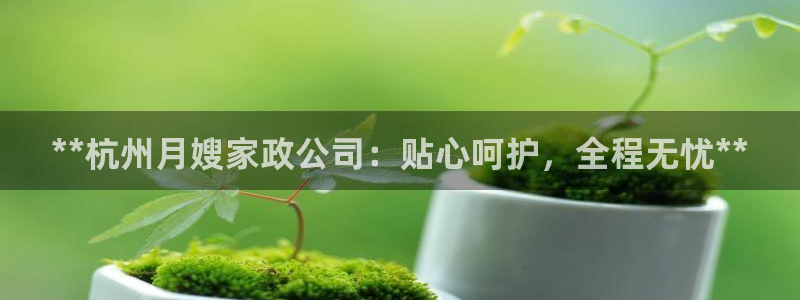 杏悦主管