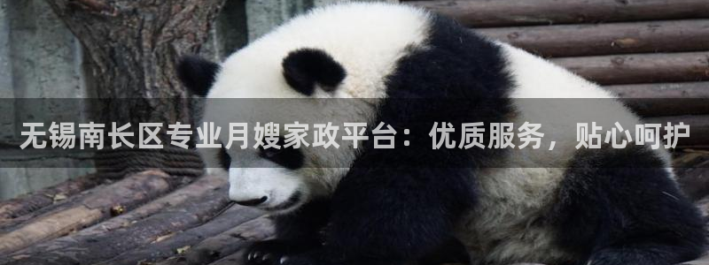 杏悦官网注册信息