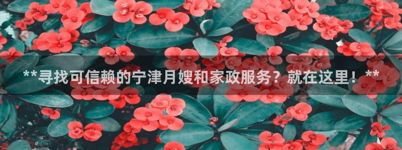 杏悦平台开户地址