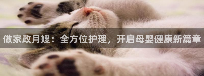 杏悦平台如何