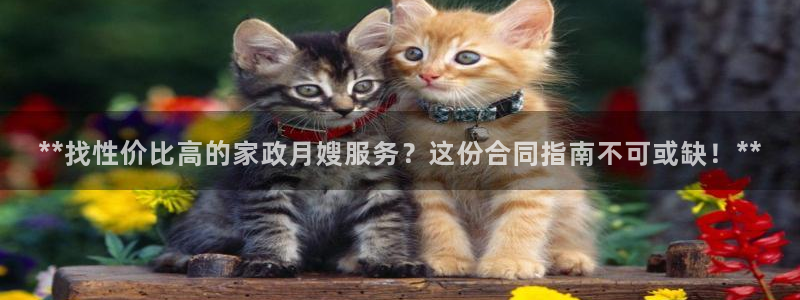 杏悦招商地址
