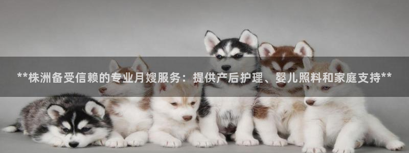 杏悦平台代理怎么做的