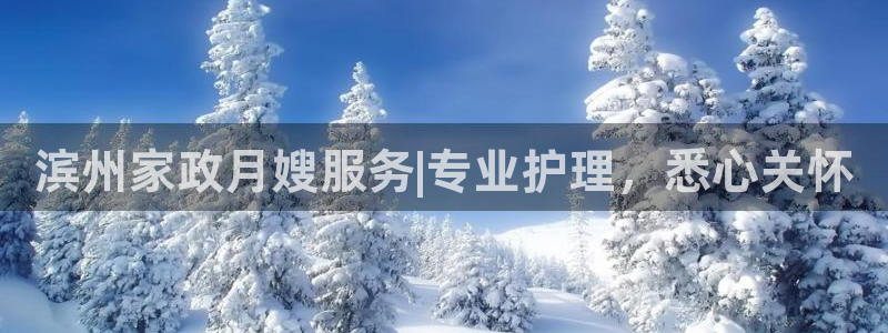 杏悦平台代理多少钱