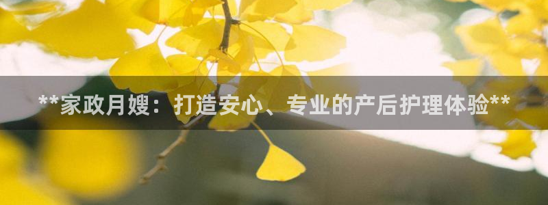 杏悦平台官网注册账号