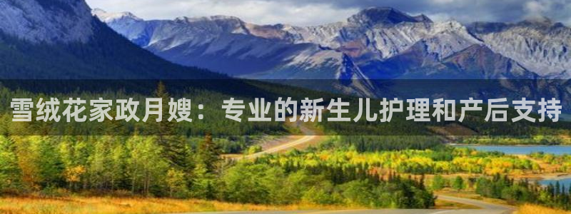 杏悦官网登录入口网址是什么