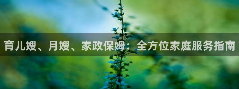 杏悦平台招商