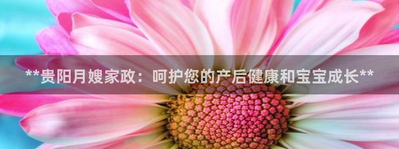 杏悦平台注册要钱吗