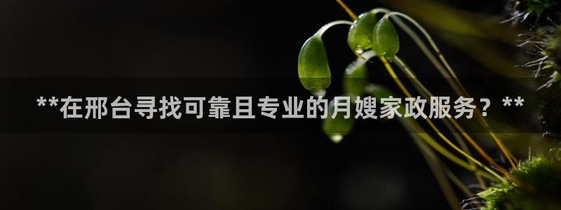 杏悦平台代理注册多少钱
