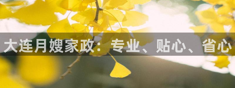 杏悦平台代理怎么做