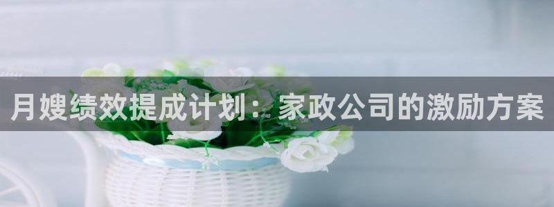 杏悦平台可靠吗可信吗安全吗