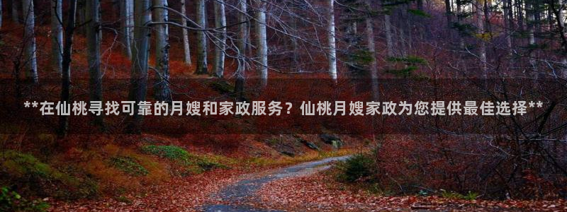 杏悦平台如何注册账号