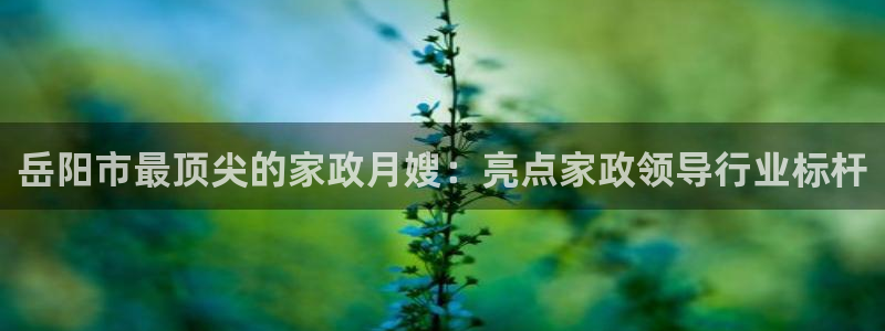 杏悦官网注册信息是什么