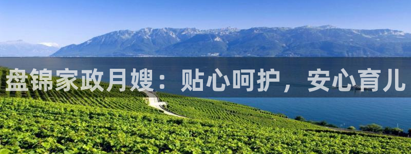 杏悦官网注册信息是什么样的