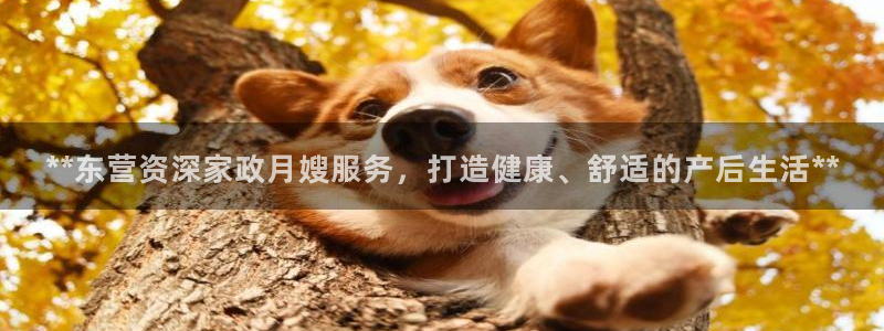 杏悦平台