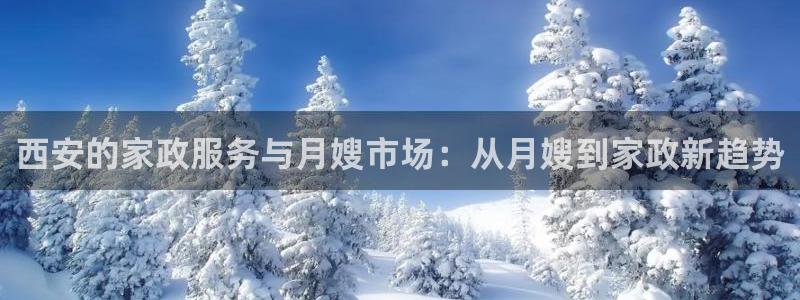 杏悦平台