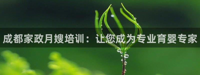 杏悦官网注册信息在哪里看