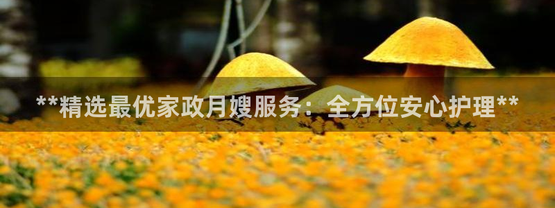 杏悦主管