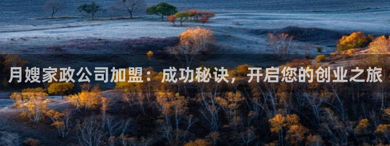 杏悦平台地址
