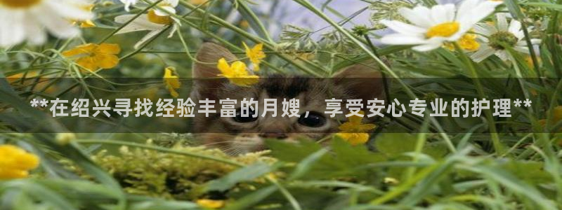 杏悦官网注册信息是什么样的