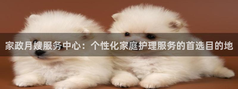杏悦1登录地址