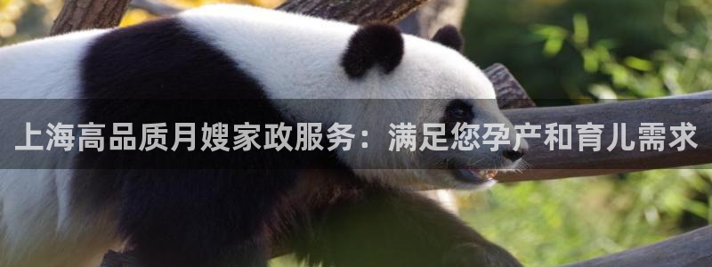 杏悦平台招商电话号码