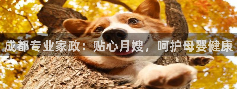 杏悦官方平台官网首页