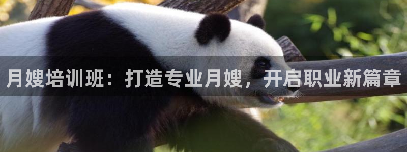 杏悦官网注册信息