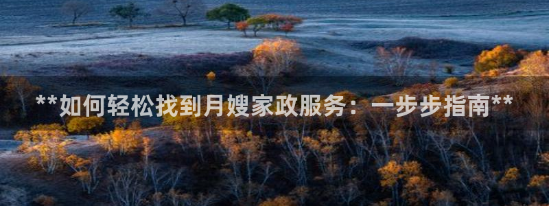 杏悦平台登录入口官网