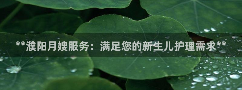 杏悦娱乐注册平台官网