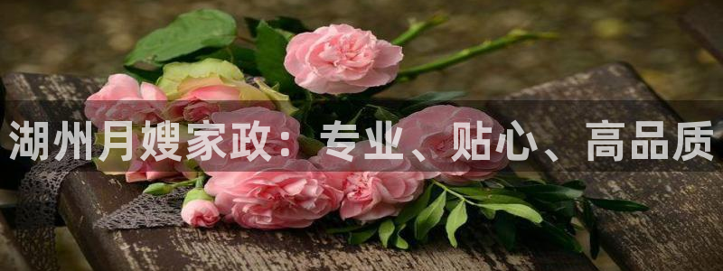 杏悦平台代理注册