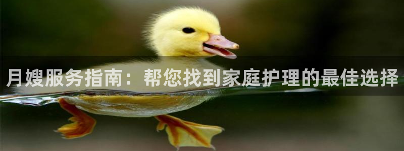 杏悦平台开户地址