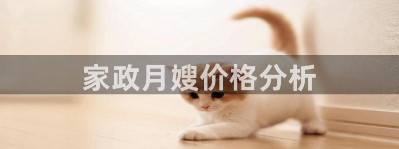 杏悦平台代理注册要钱吗