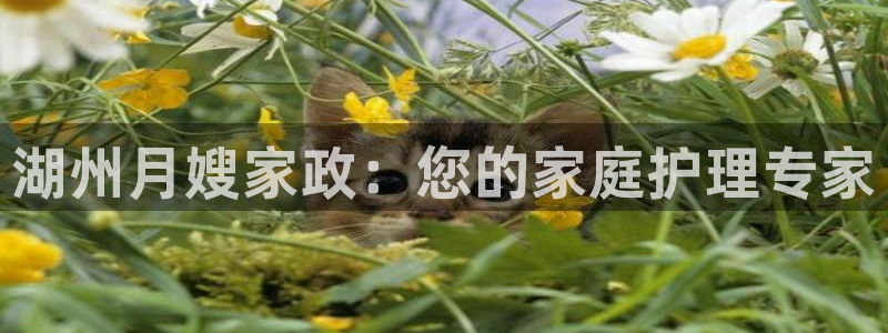 杏悦平台登录地址