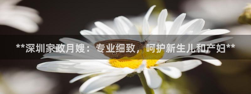 杏悦官方平台