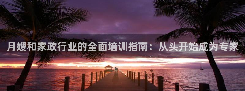 杏悦平台登录网址查询