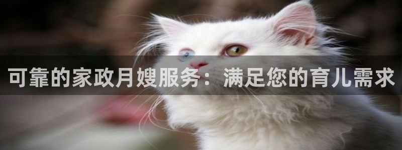 杏悦娱乐注册平台怎么样