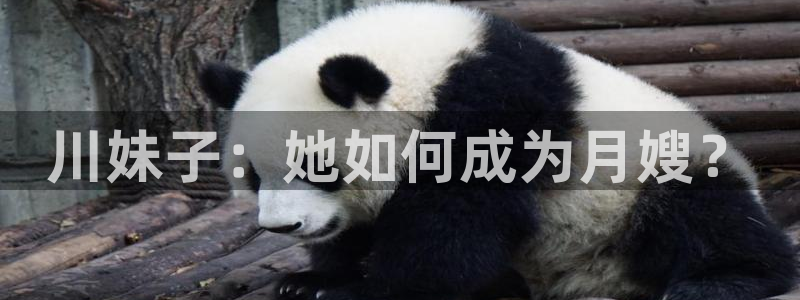 杏悦娱乐平台靠谱吗