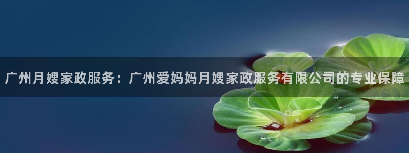 杏悦平台代理怎么赚钱的