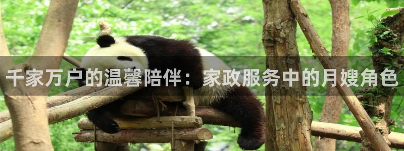 杏悦平台注册网址