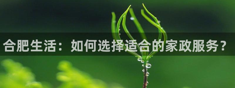 杏悦平台代理注册