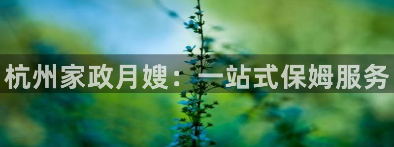 杏悦官方平台