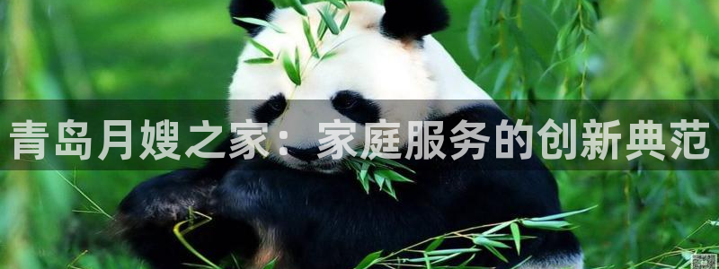 杏悦官方平台官网入口