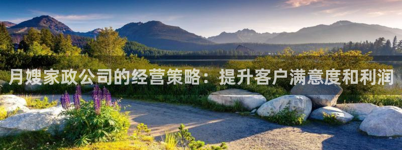 杏悦平台注册地址在哪里