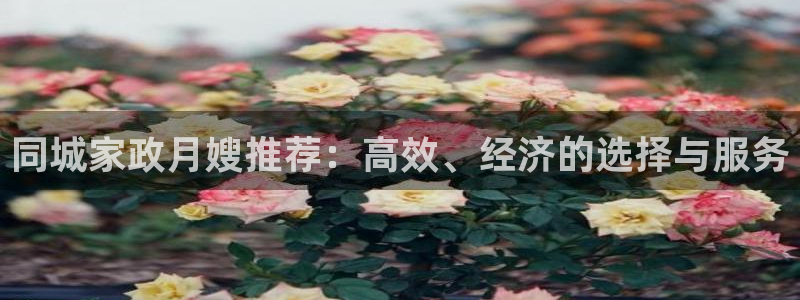 杏悦注册官网