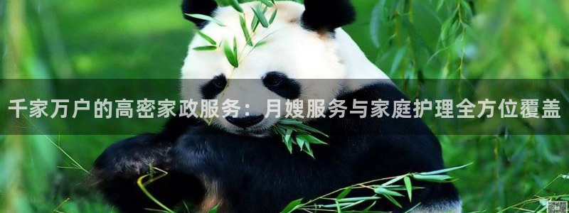 杏悦平台注册地址在哪里
