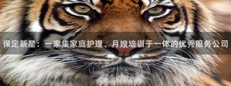 杏悦登录网址是什么