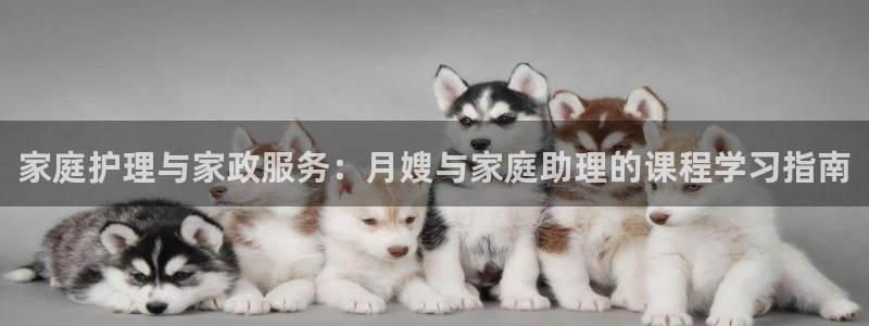 杏悦平台登录地址