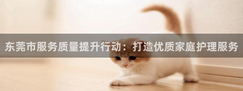 杏悦平台代理注册流程