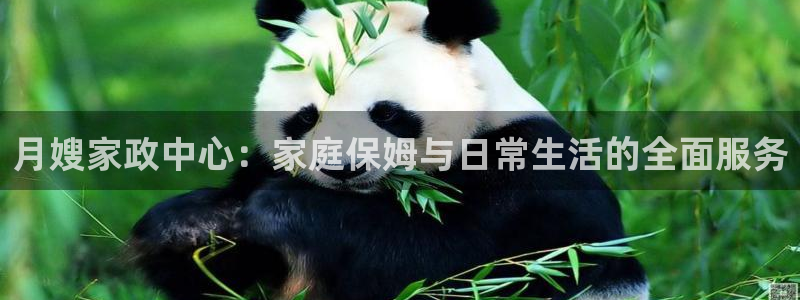 杏悦娱乐注册平台怎么样